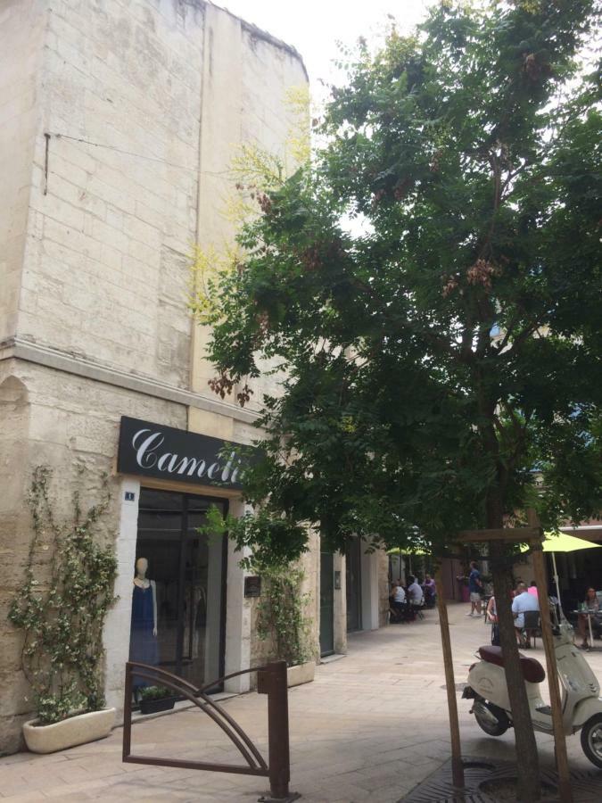 Ferienwohnung Nostradamus Saint-Rémy-de-Provence Exterior foto